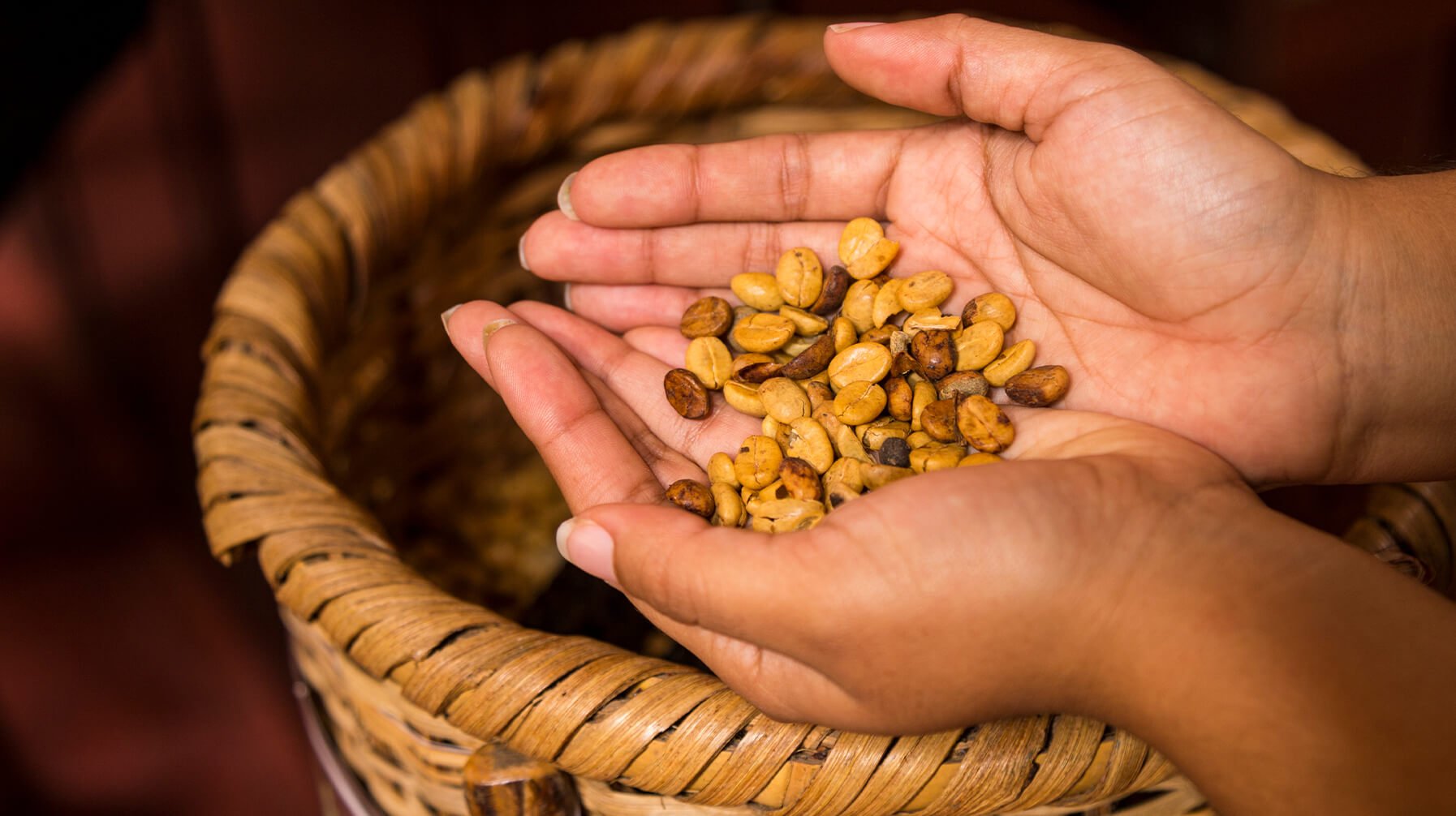 Dünyanın En Pahalı Kahvesi: Kopi Luwak Kahvesi