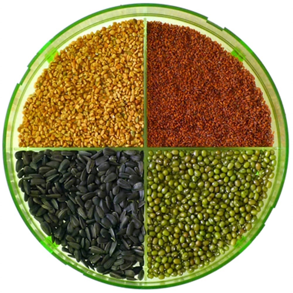 GEO - Filizlendirme Rafları - TZZ0870