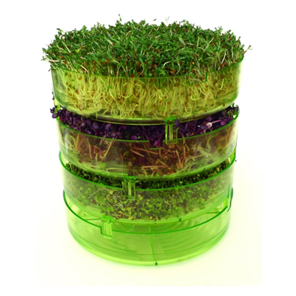 GEO - Filizlendirme Rafları - TZZ0870