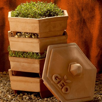 GEO - Filizlendirme Çömleği - TZZ0933