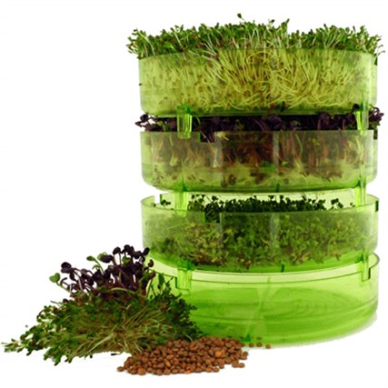 GEO - Filizlendirme Rafları - TZZ0870