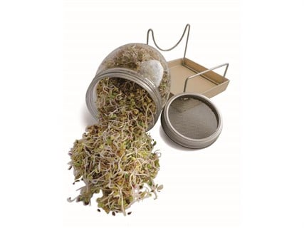 GEO - Filizlendirme Kavanozu - TZZ0865