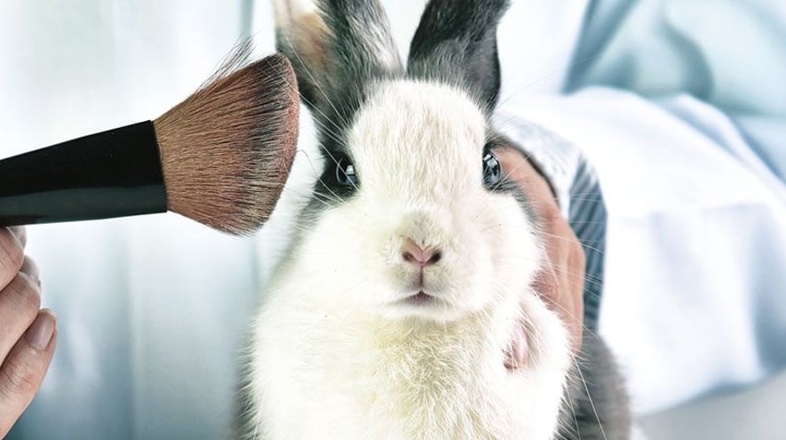 Cruelty-free ve vegan doğal kozmetik ürünleri