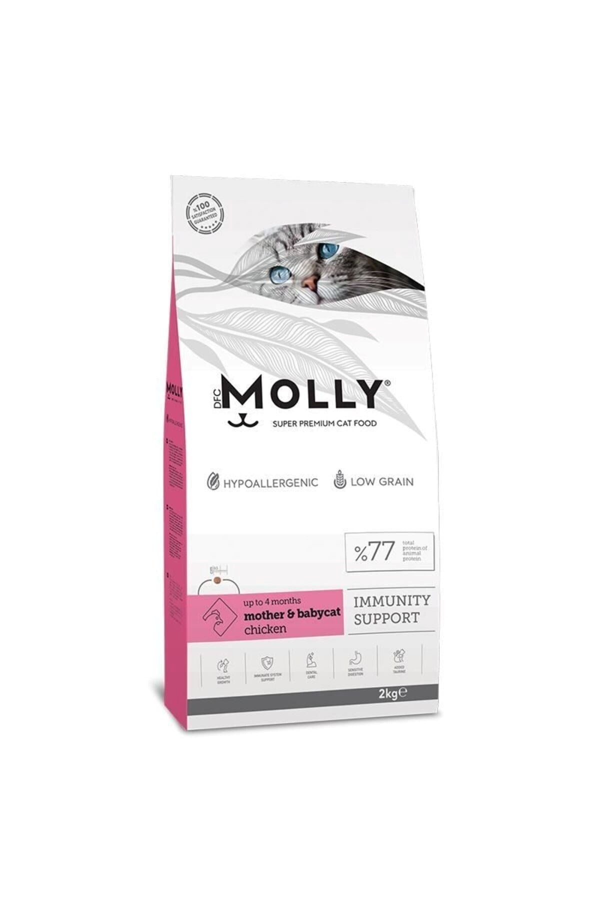 Molly Tavuklu Yavru Kedi Maması 2 kg