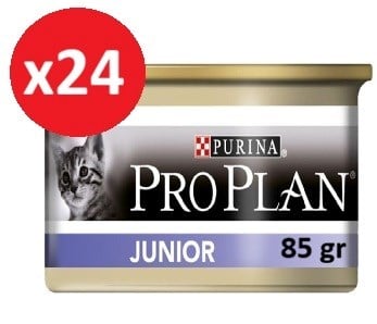 Pro Plan Junior Tavuklu Yavru Kedi Konserve 85gr*24 ADET