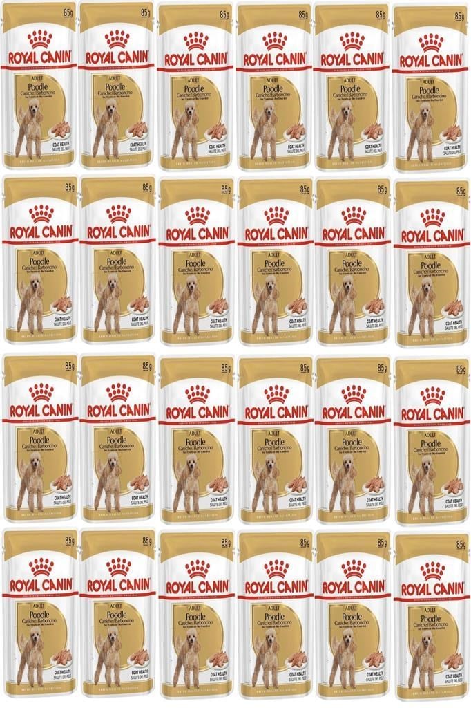 Royal Canin Adult Poodle Caniche Tüy Sagligi Destekleyici Yetiskin Köpek Konservesi 85gr 24 Adet