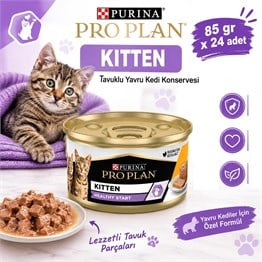 Pro Plan KITTEN Tavuklu Yavru Kedi Konservesi 85 gr*24 adet