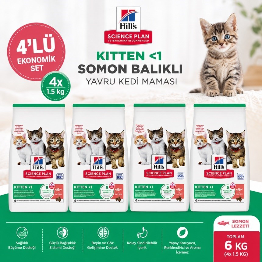Hills Kitten Somon Balıklı Yavru Kedi Maması 1.5 KG*4 Adet