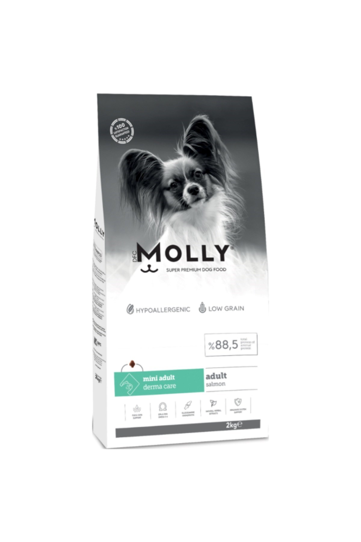 Molly Hipoalerjenik Somon Küçük Irk Yetişkin Köpek Maması 2kg