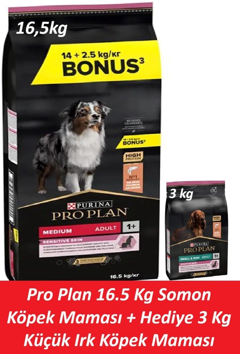 Pro Plan 16.5 Kg Somon Köpek Maması + Hediye 3 Kg Küçük Irk Köpek Maması
