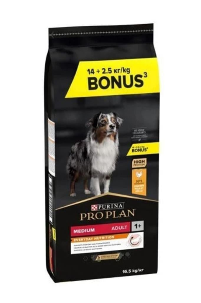 Pro Plan Medium Adult Tavuklu Yetişkin Köpek Maması 16,5 Kg