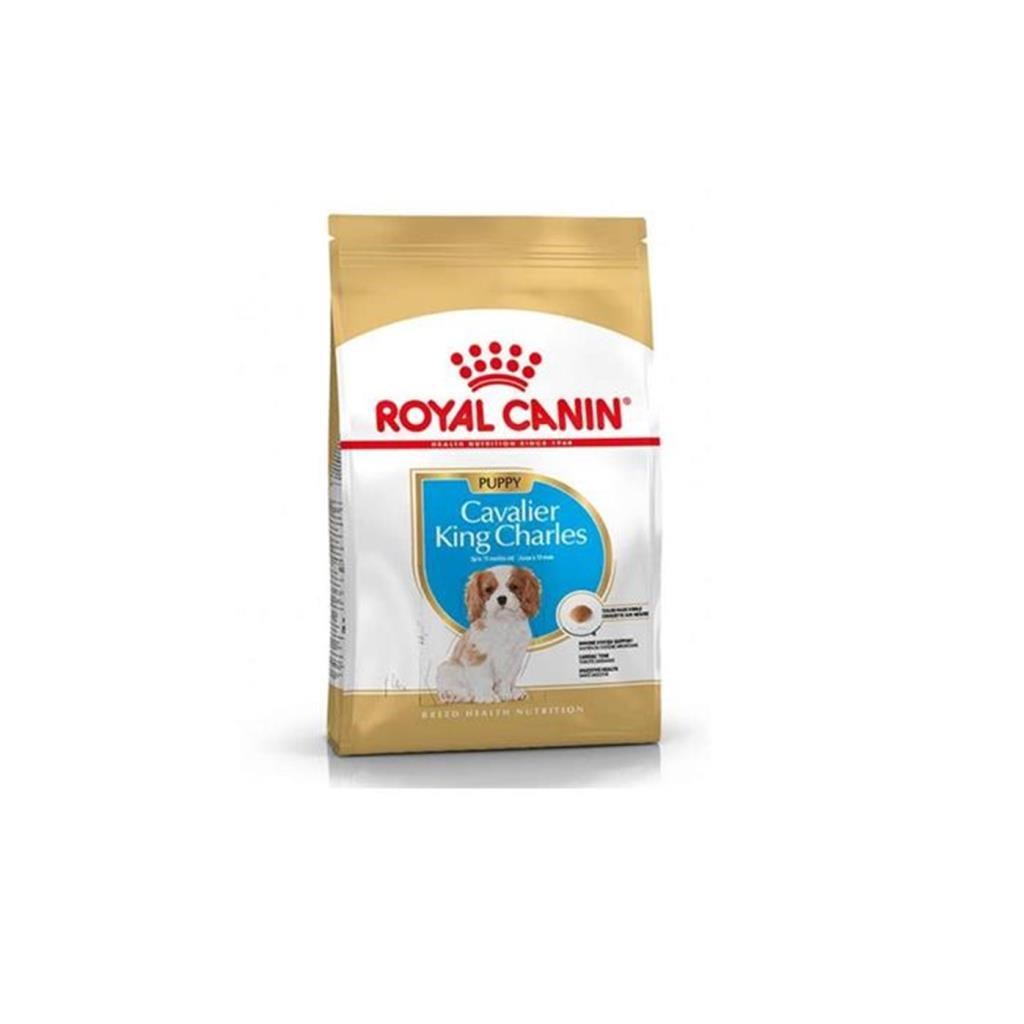 Royal Canin Cavalier King Charles Junior köpek mamasi 1.5 Kg 