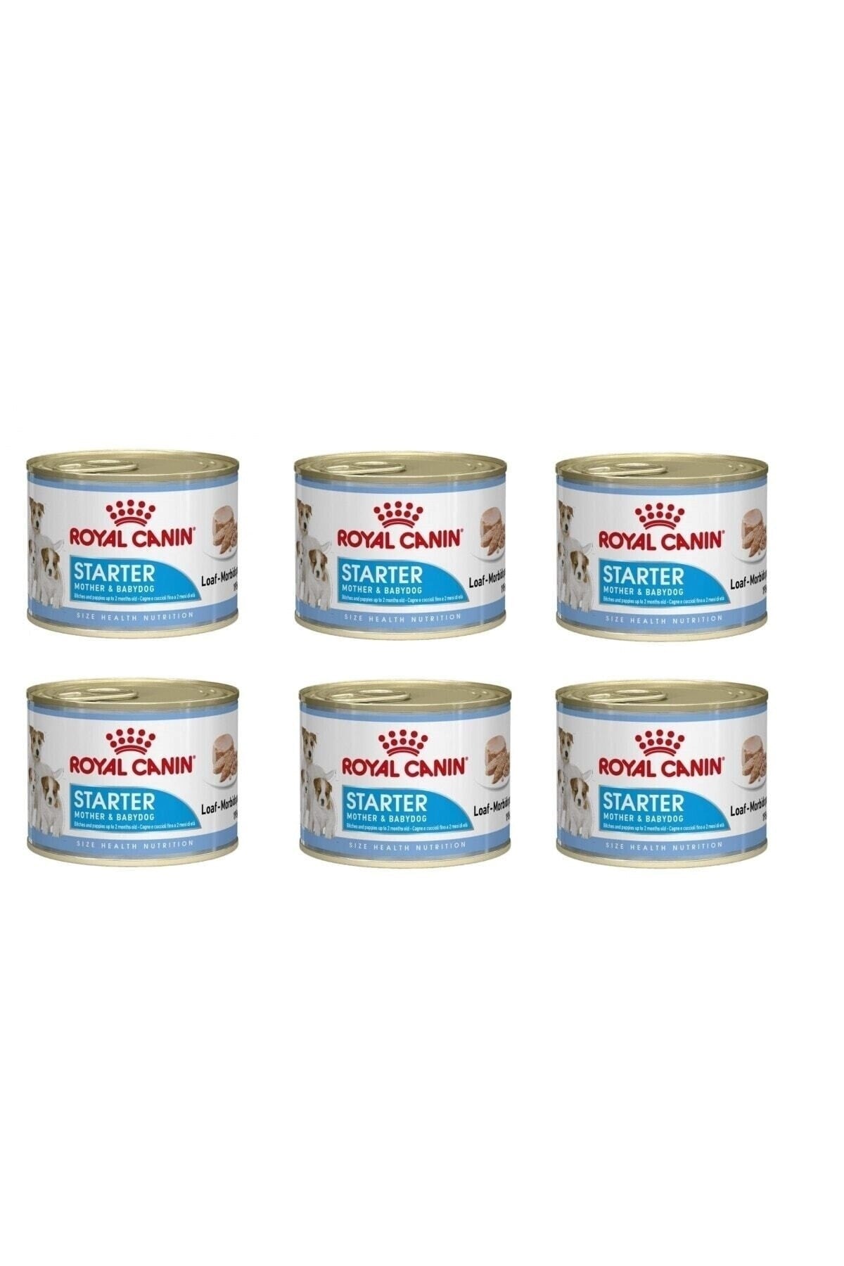 Royal Canin Starter Mousse Yavru Köpek Konservesi 195 Gr - 6 Adet
