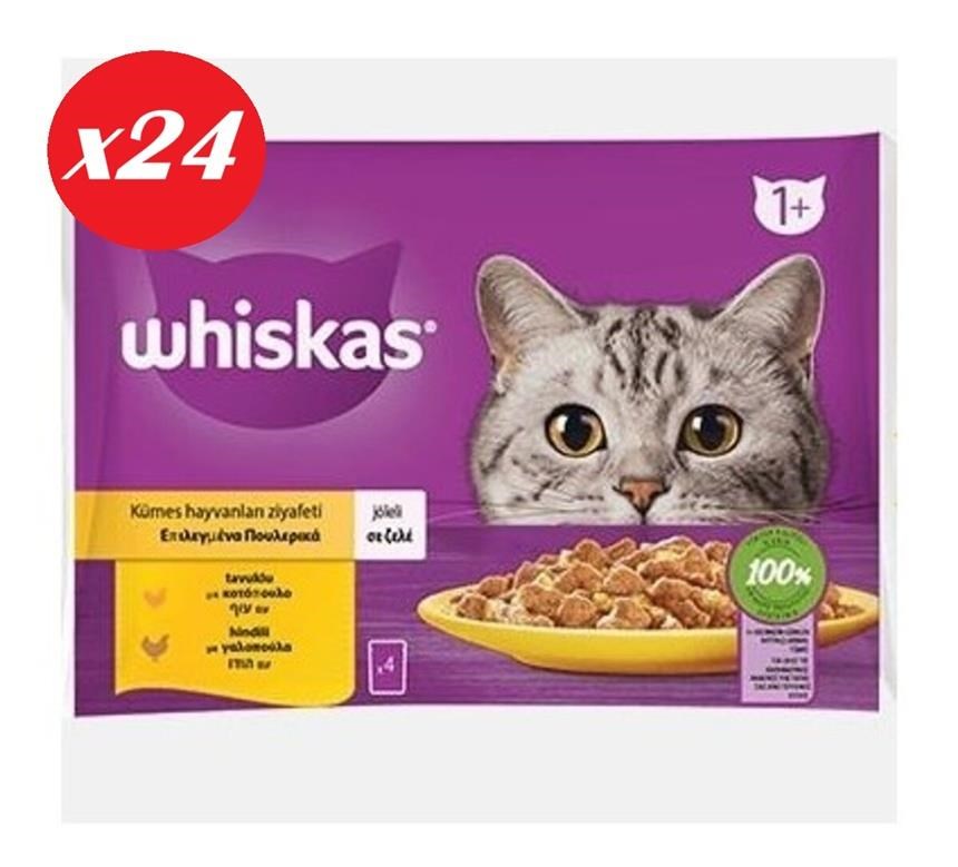 Whiskas Tavuklu ve Hindili Yet. Kedi Maması 4x85Gr Set 24'lü