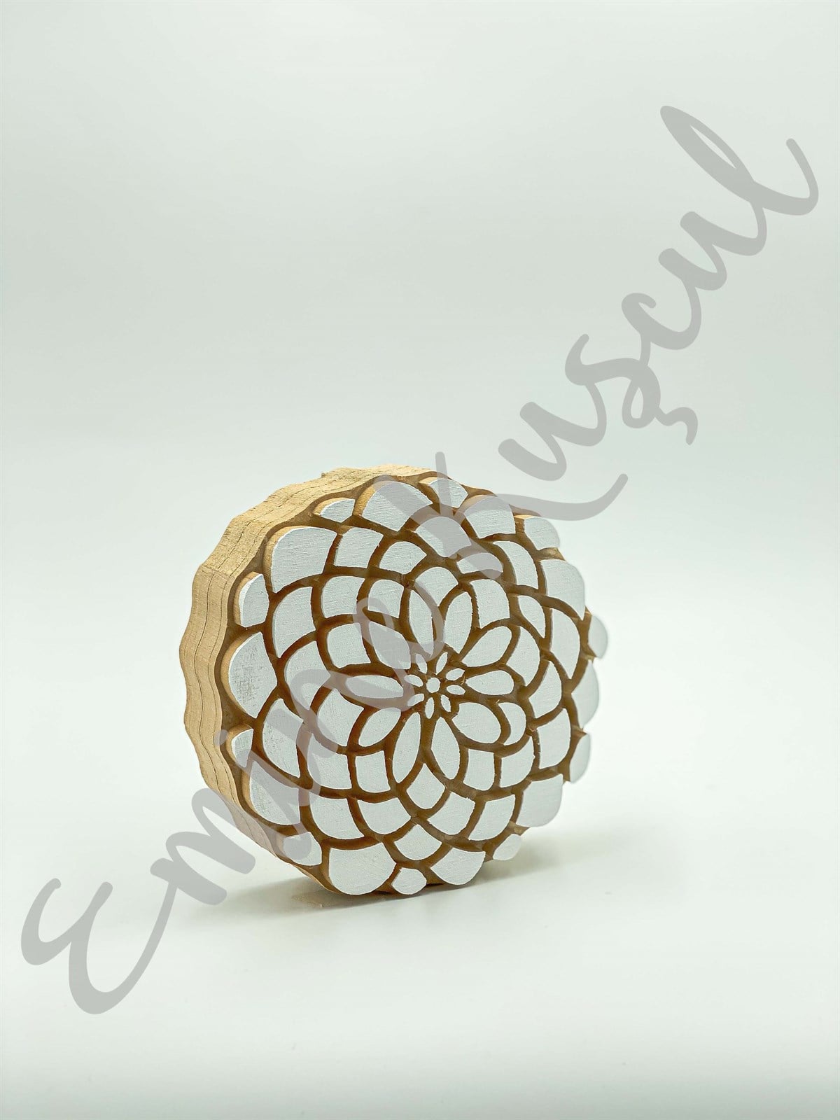 293 Dairesel  | emicraft.com293 Dairesel Dairesel Modeller