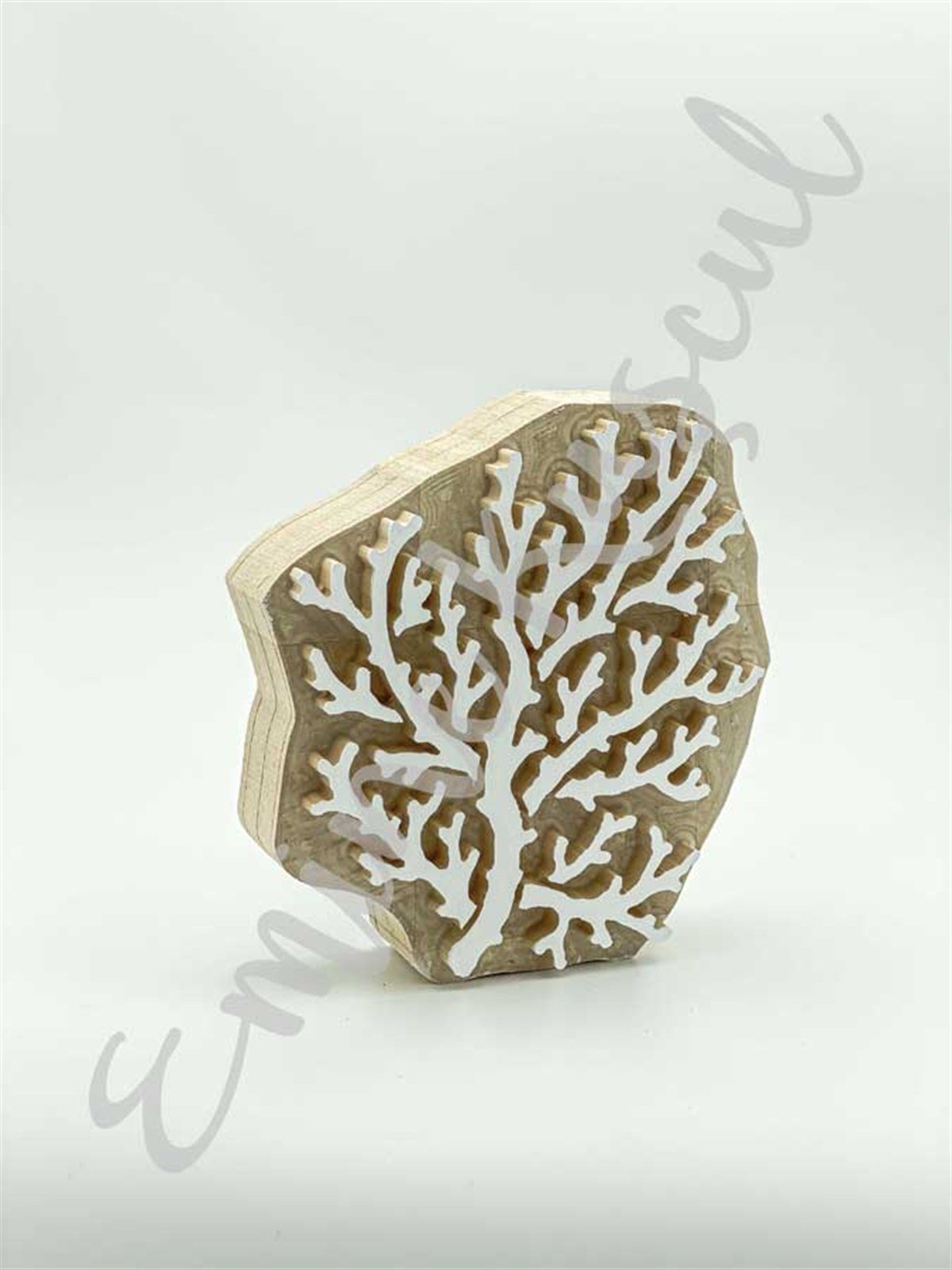 356 | emicraft.com356Mercan Modelleri