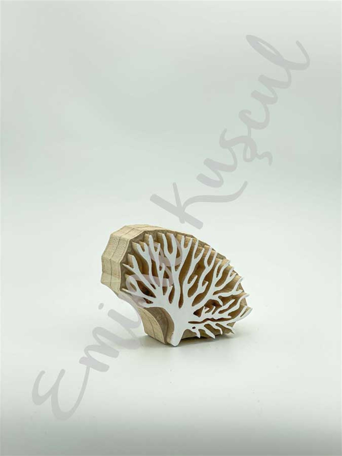 896 | emicraft.com896Mercan Modelleri