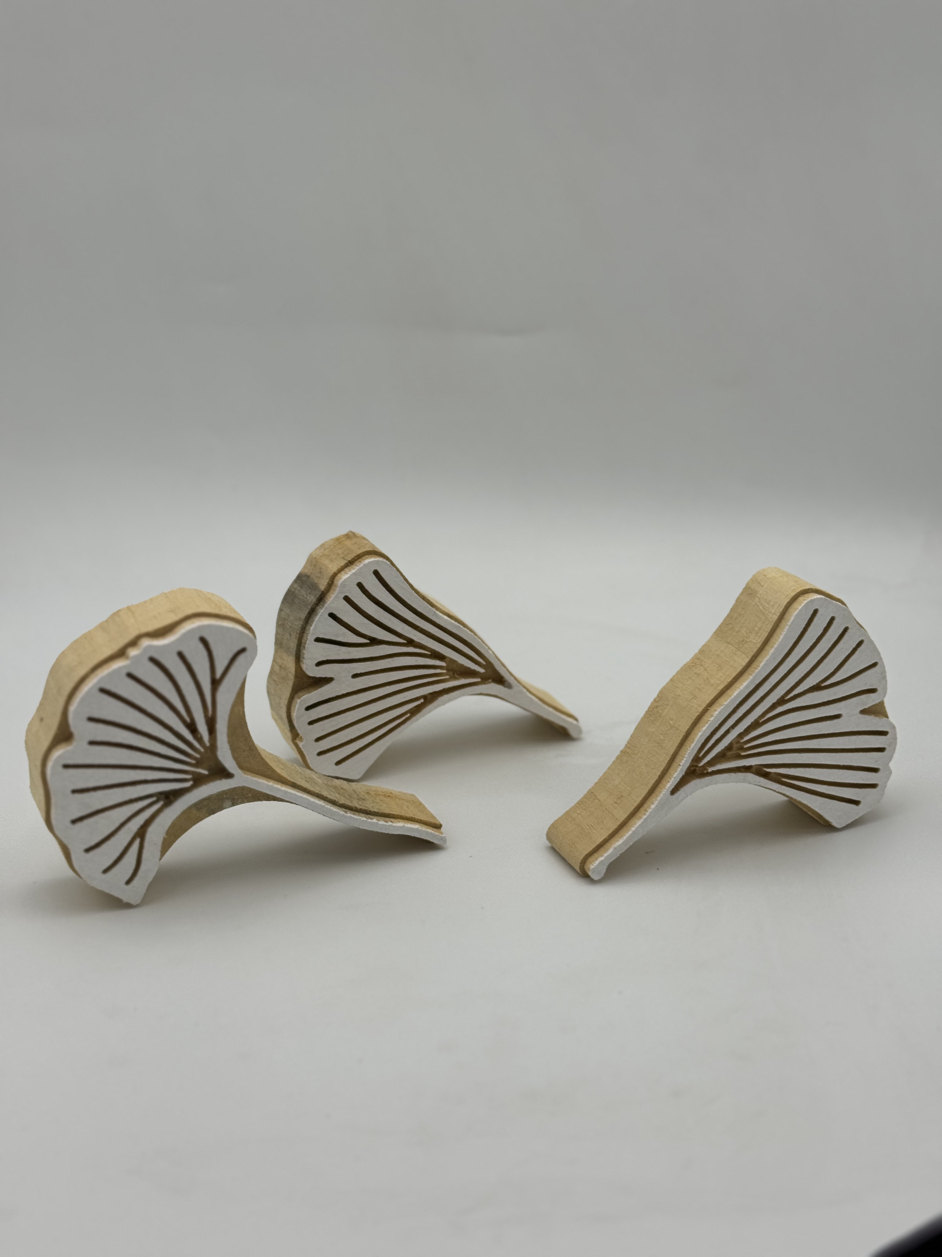 Ginko Çiçek Set Tahta Baskı Kalıbı 1407 - EmicraftGinko Çiçek Set Tahta Baskı Kalıbı 1407Yazma Modelleri