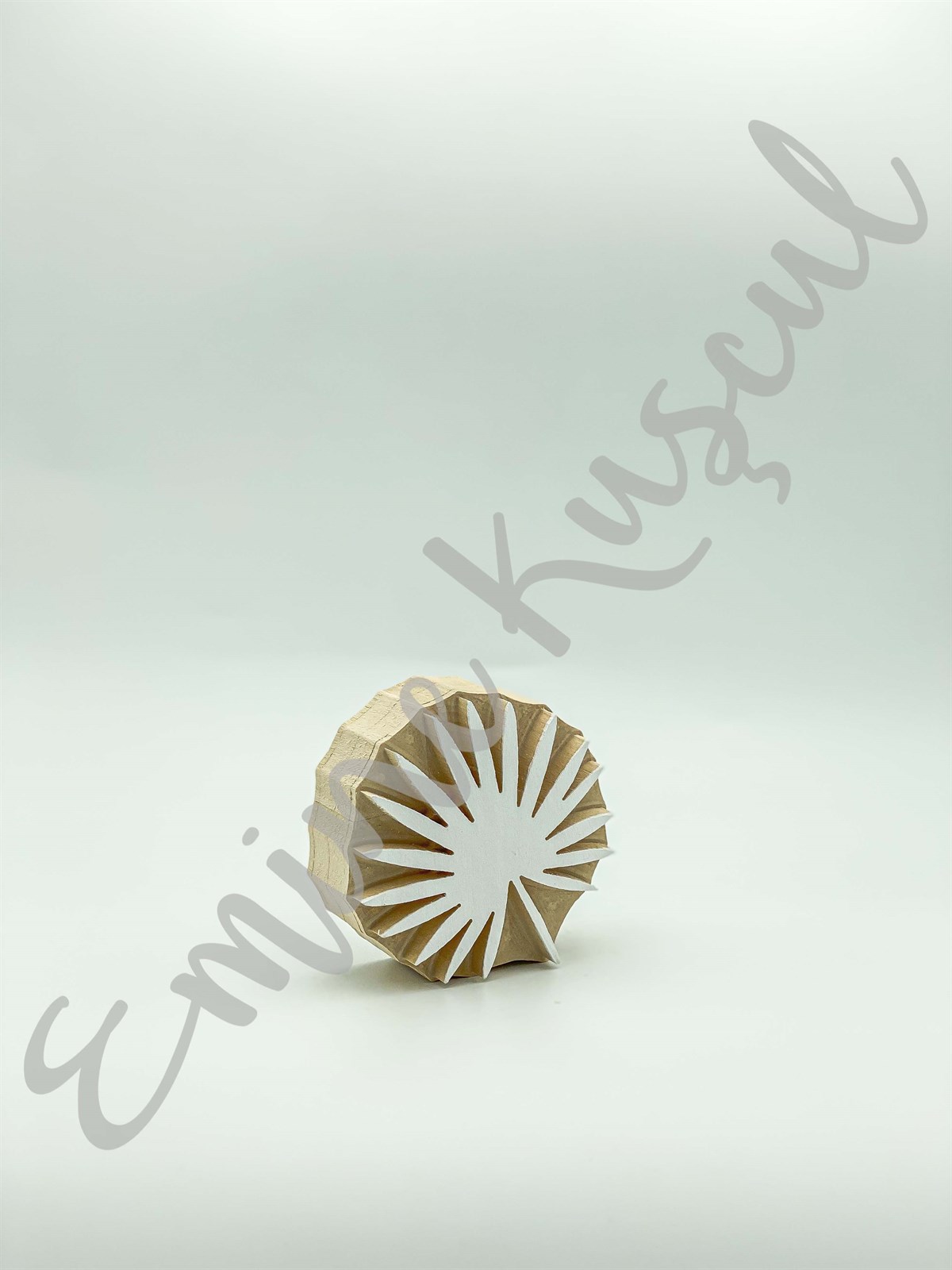 1007 sea urchins
