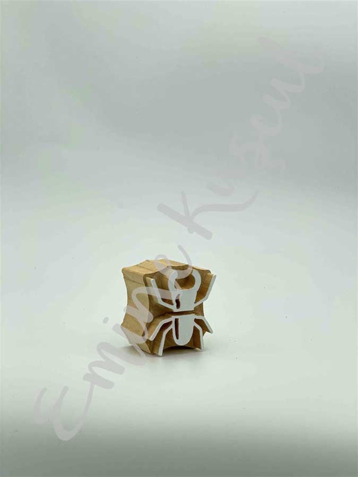 1121 Insects