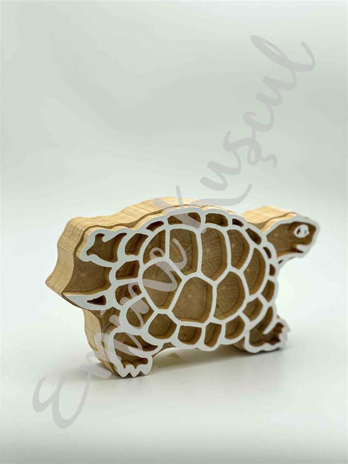 266 Caretta