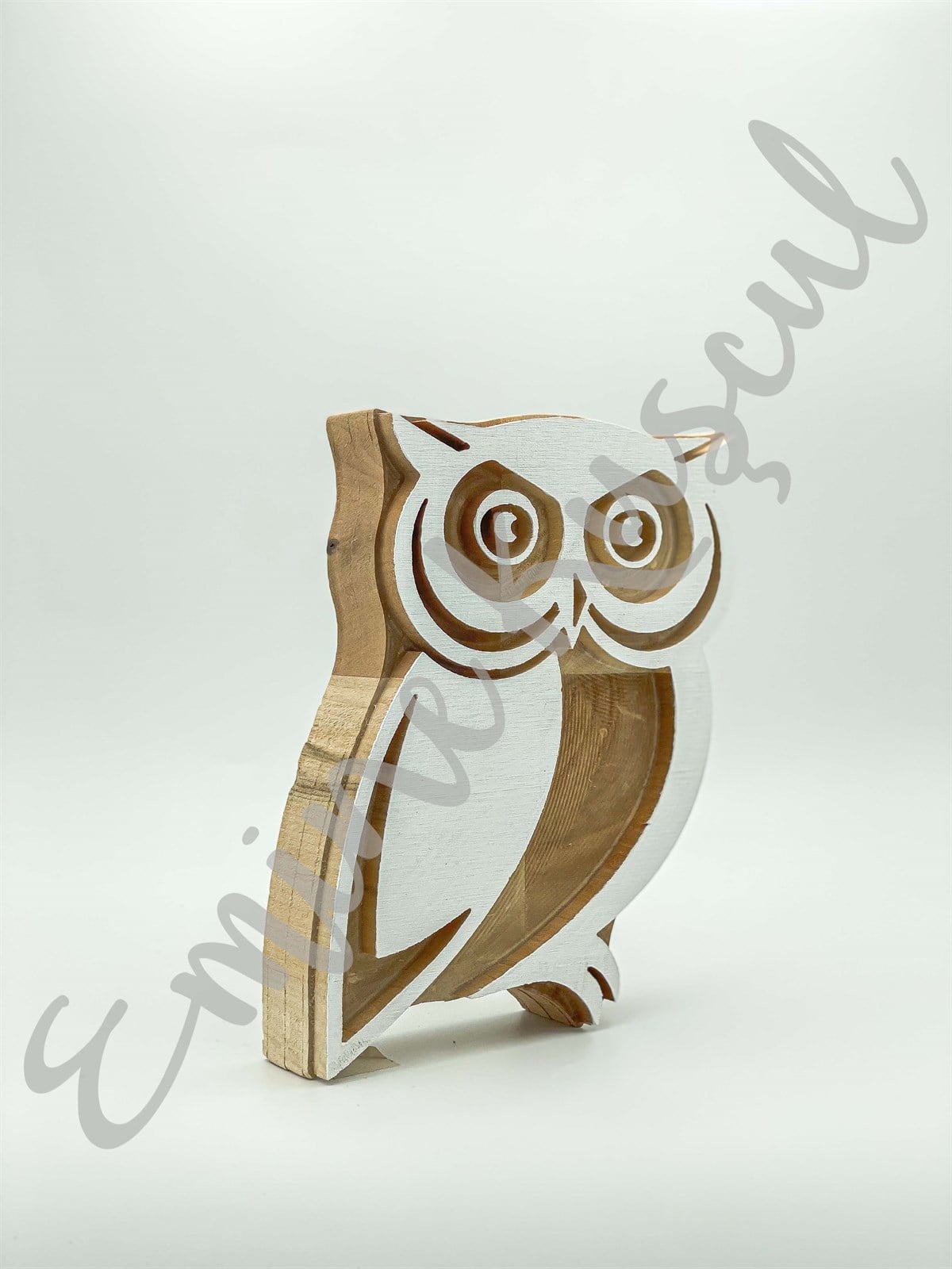 381 owls