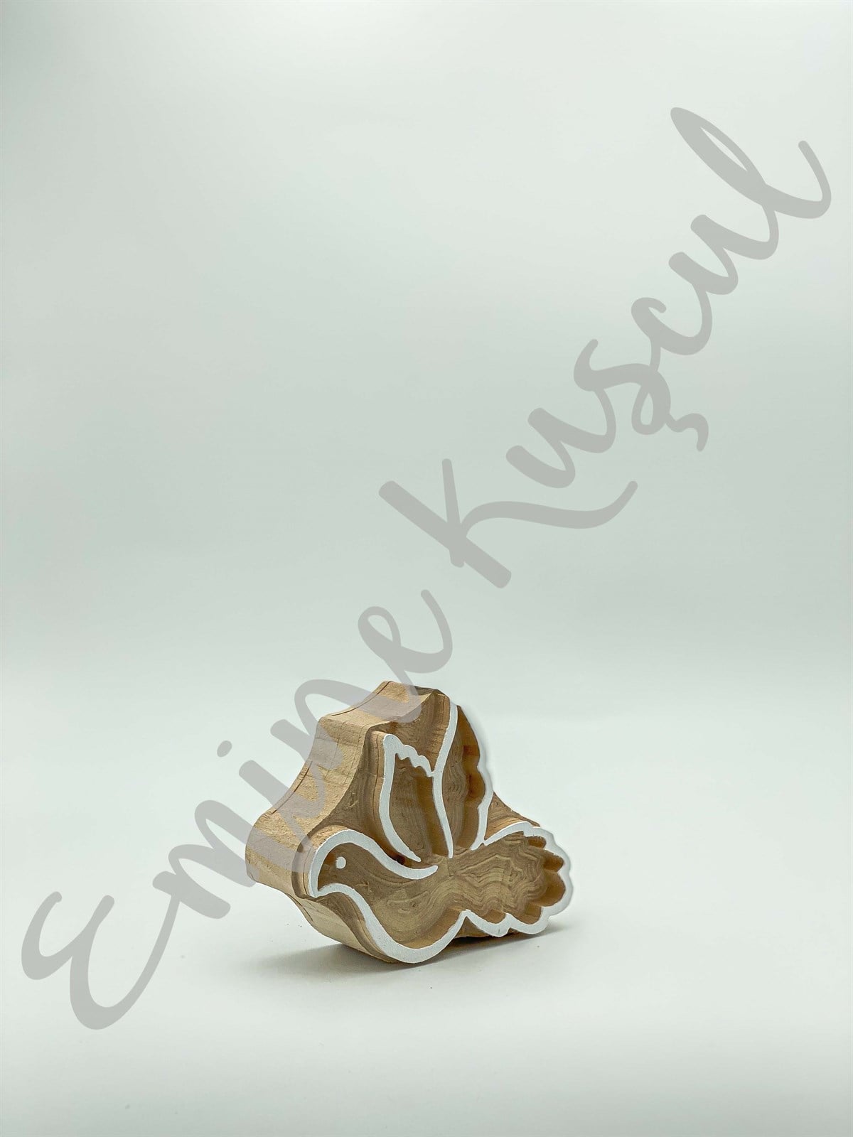 728 Güvercin | emicraft.com728 GüvercinKuş Modelleri