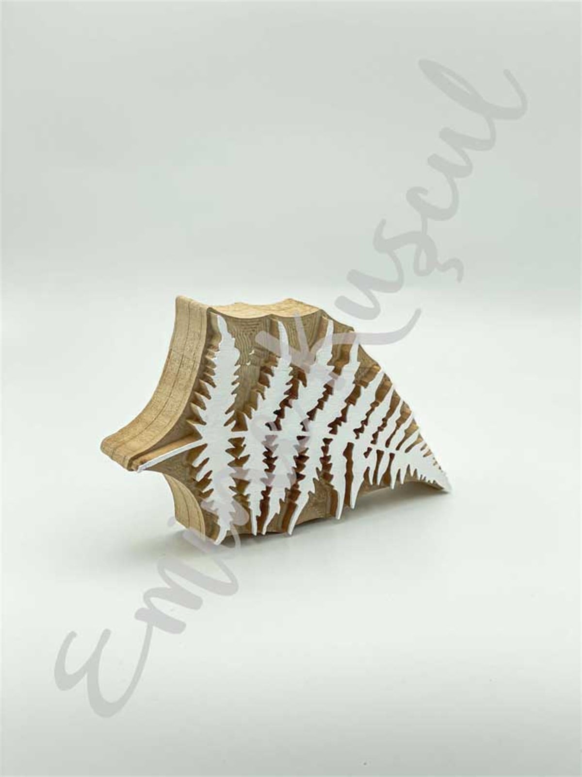 854 ferns