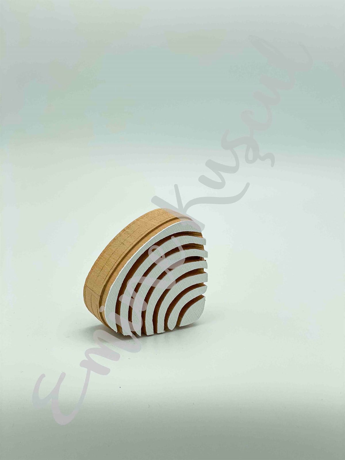 948 sea shell