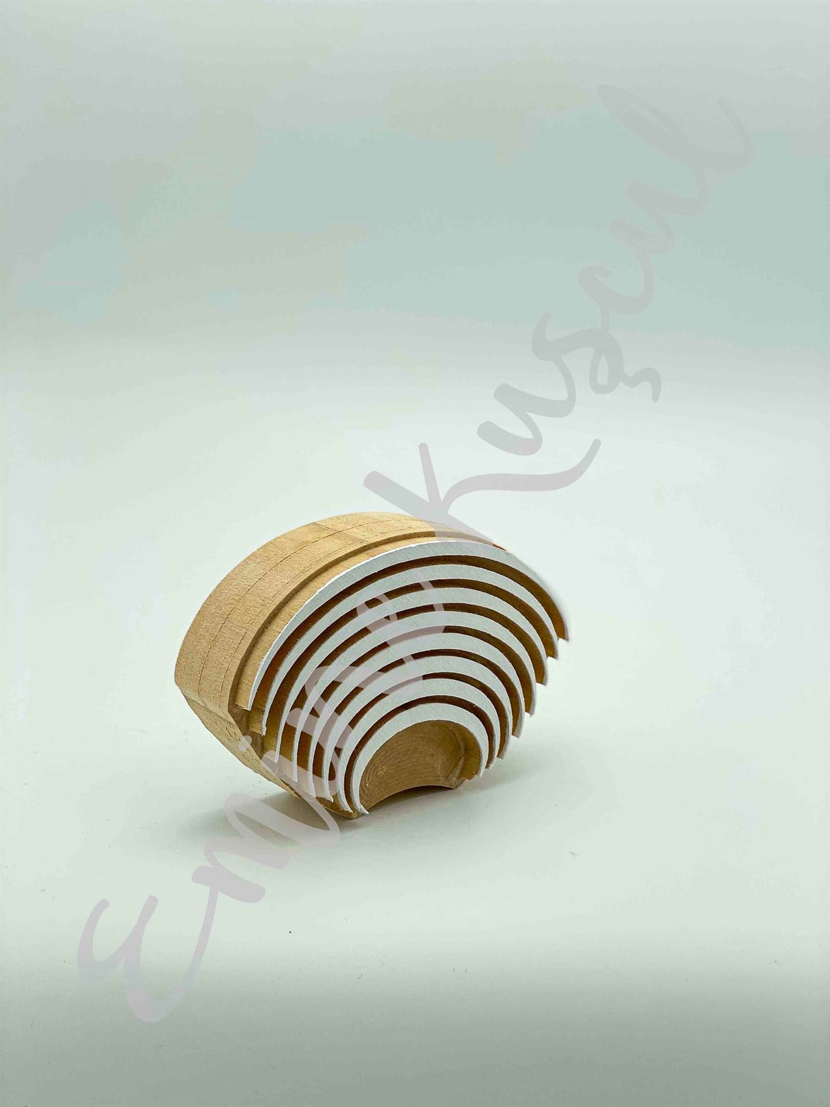 950 sea shell