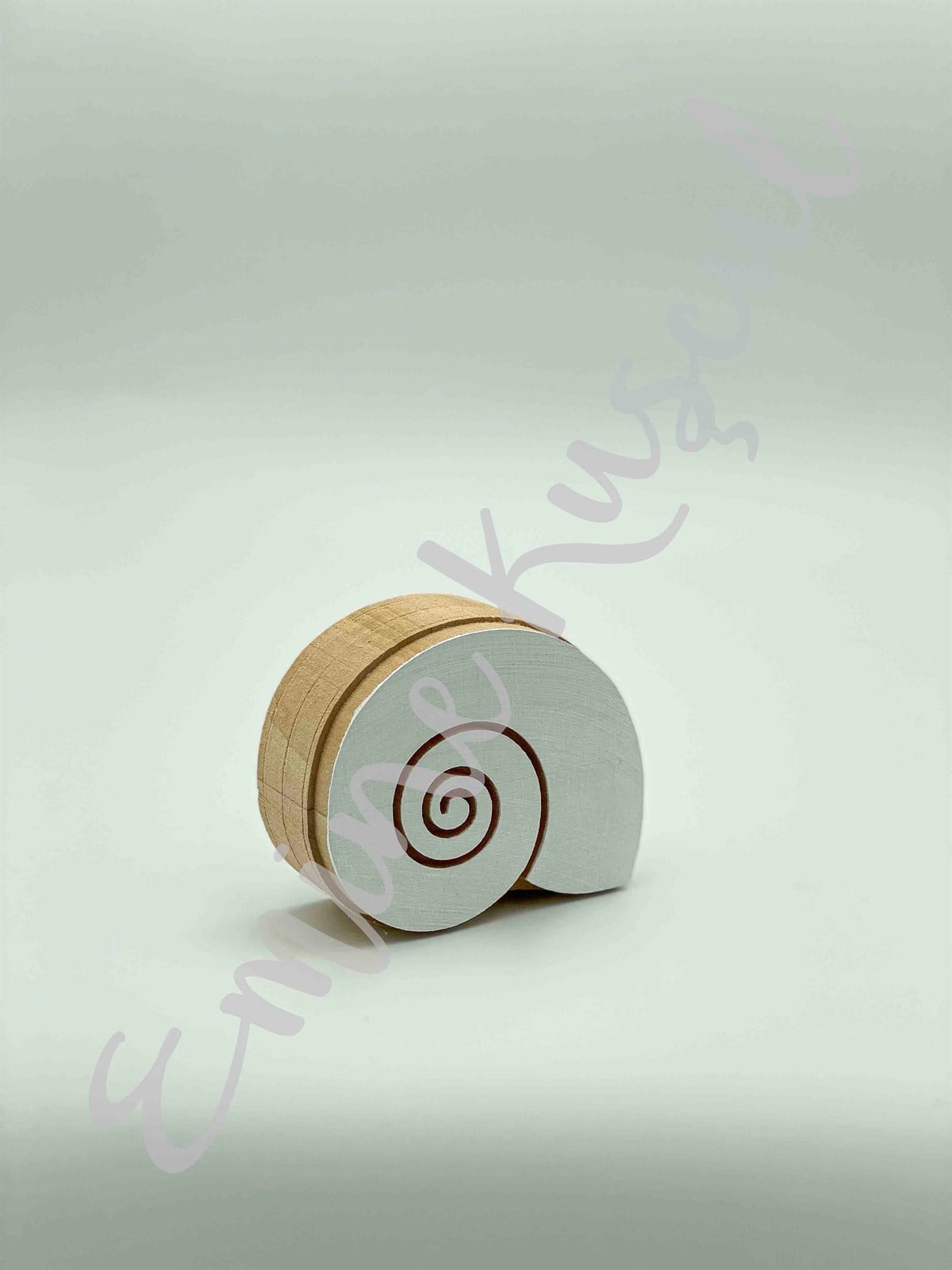 952 sea shell