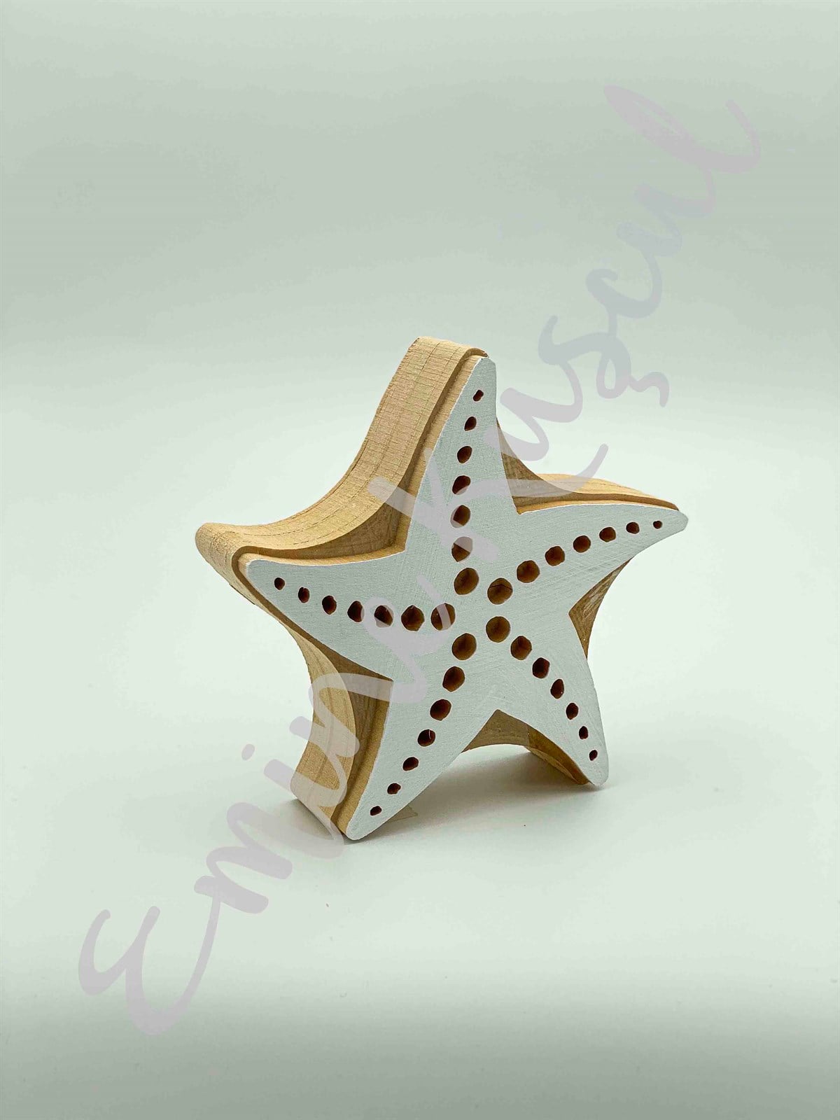 955 starfish