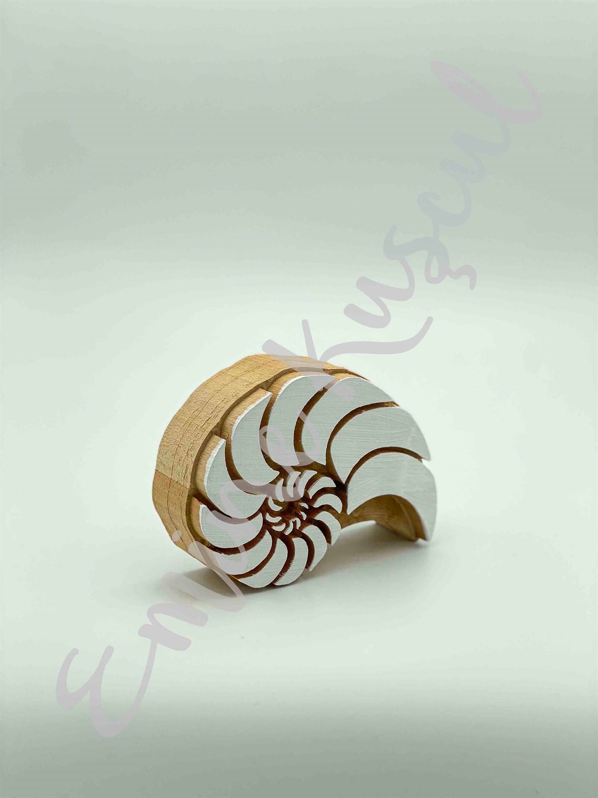 969 sea shell