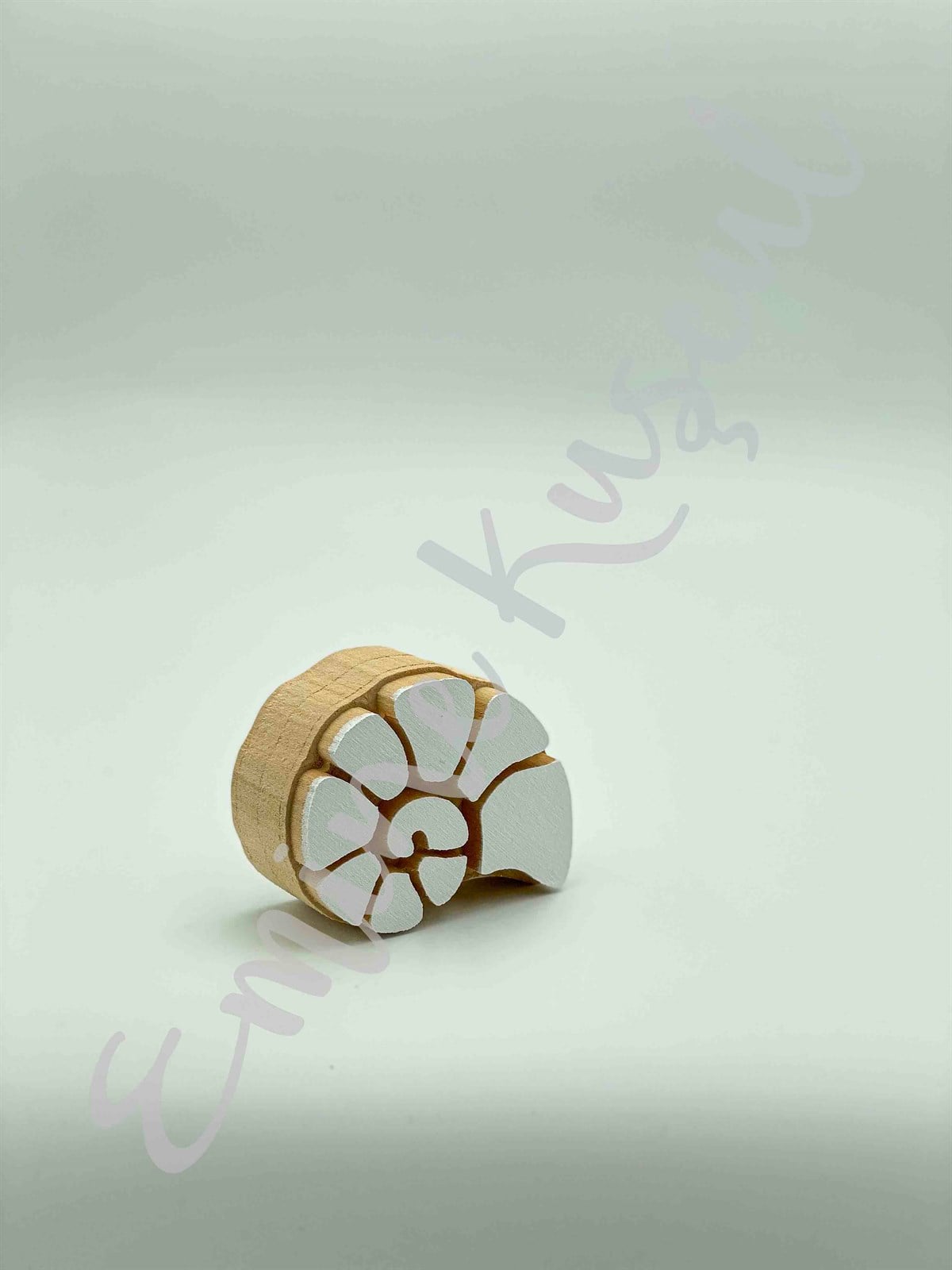 976 sea shell