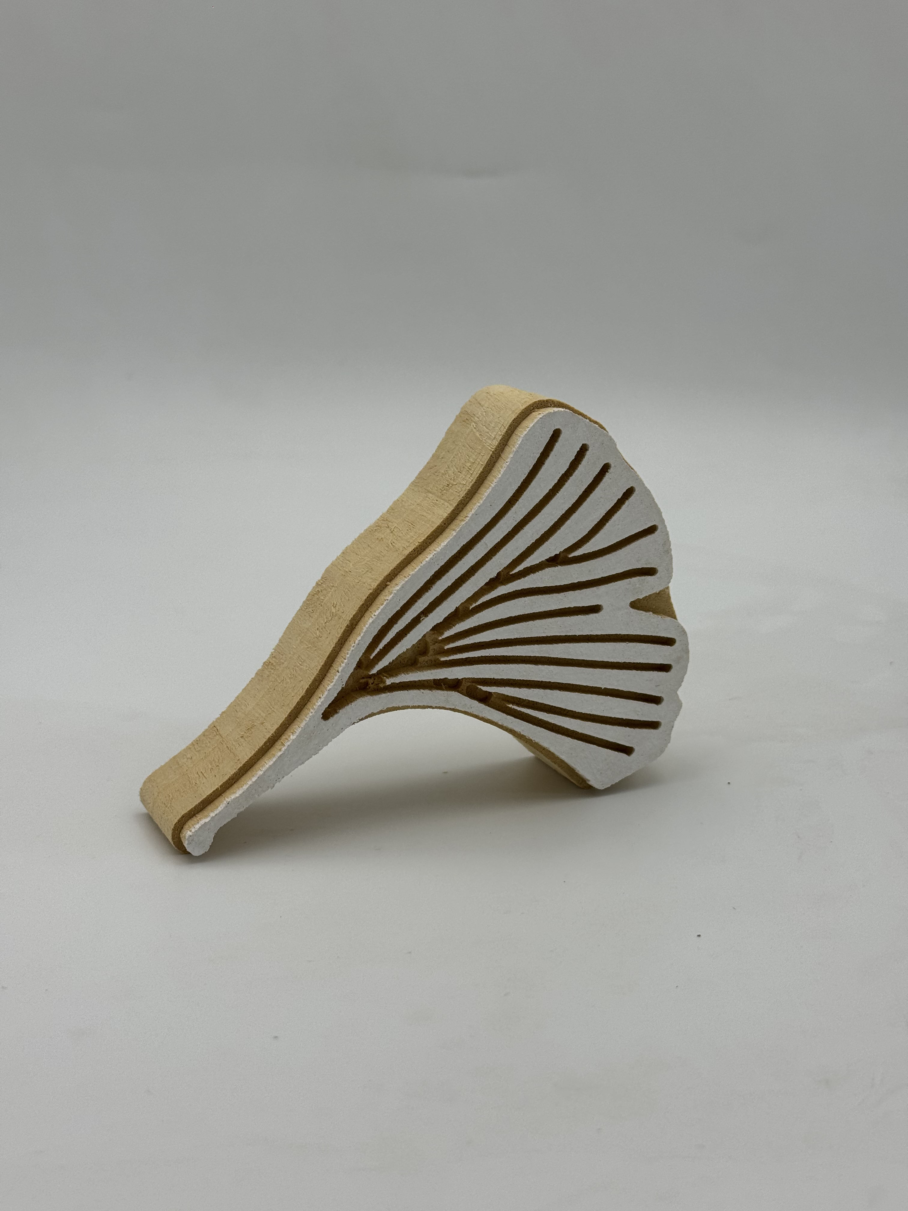 Ginko Çiçek Tahta Baskı Kalıbı 1404 - EmicraftGinko Çiçek Tahta Baskı Kalıbı 1404Writing Models