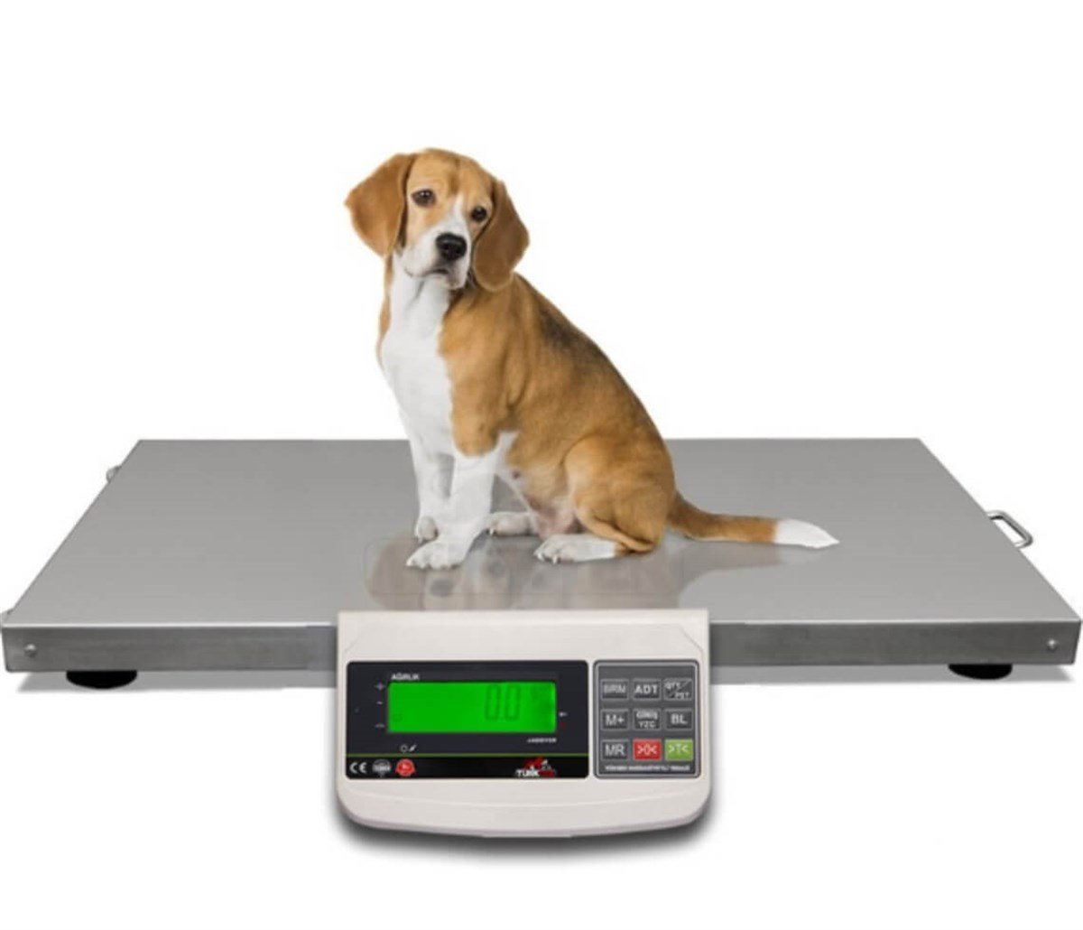 VETERİNER TARTISI 200 KG 50X70 CM