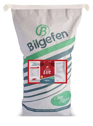TORYUM ELİT 25 KG