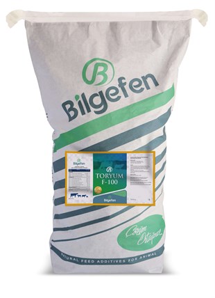 TORYUM F-100 25 KG