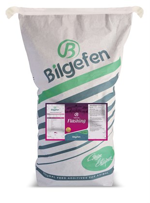 TORYUM FLASHING 25 KG