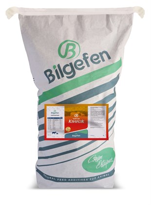 TORYUM KIVIRCIK 25 KG