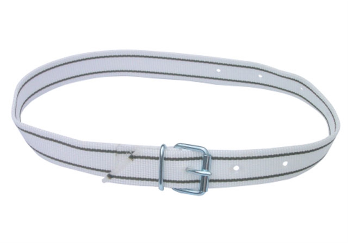 BOYUN KAYIŞI YERLİ