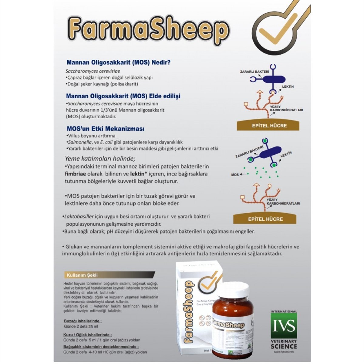 FARMASHEEP