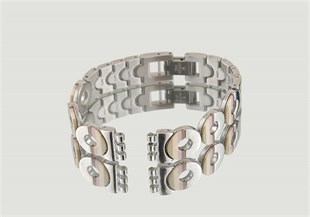 SWATCH Orjinal Irony Lady ALK258G Saat Kordonu