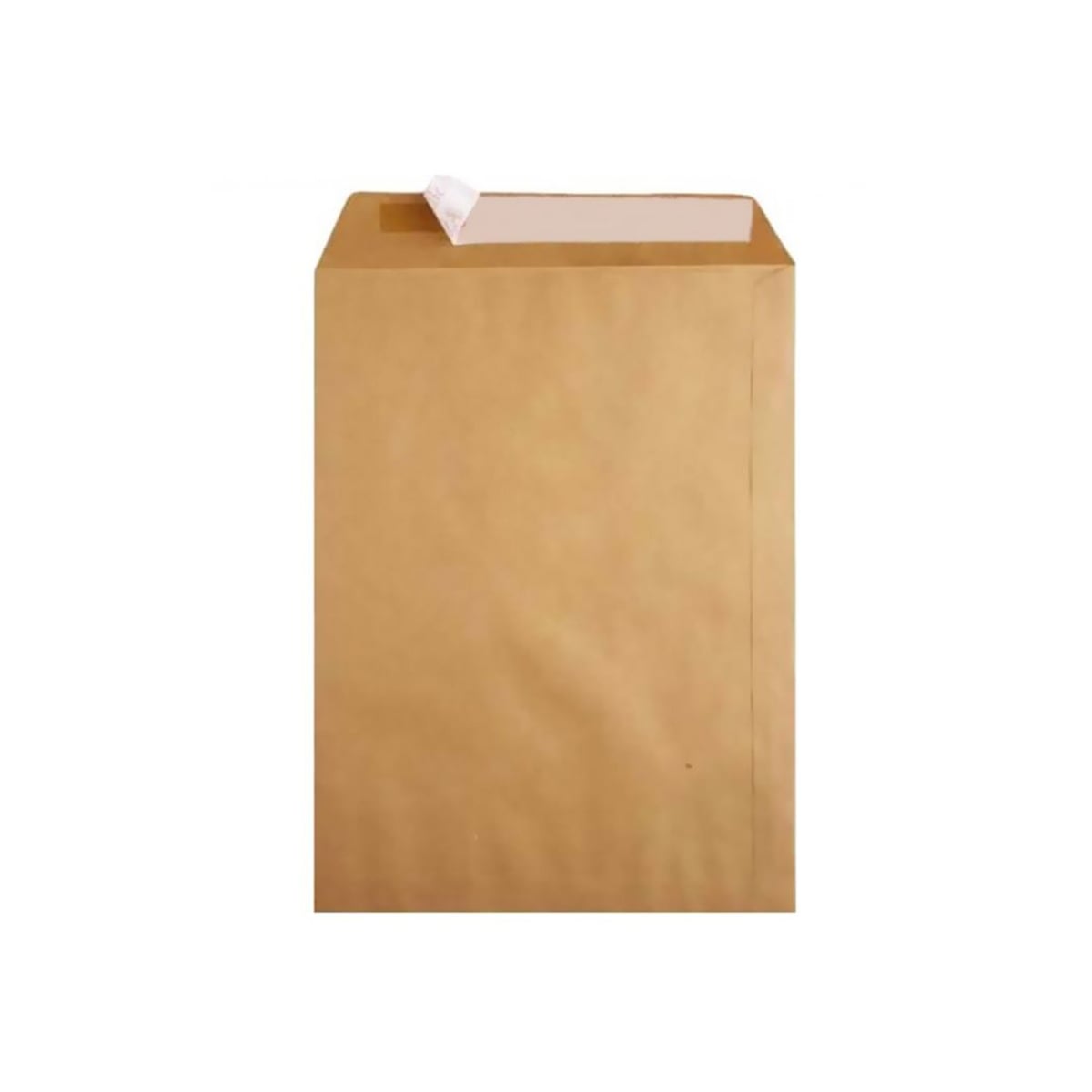 Oyal zarf torba formula 100 gr 17x25 (natura)