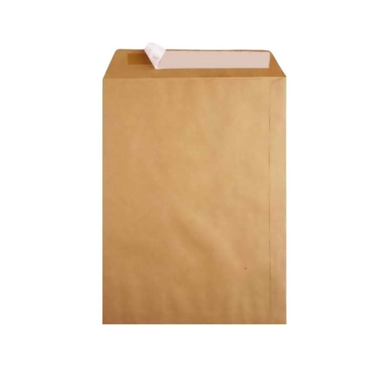 Oyal zarf torba formula 100 gr 24x32 (natura)