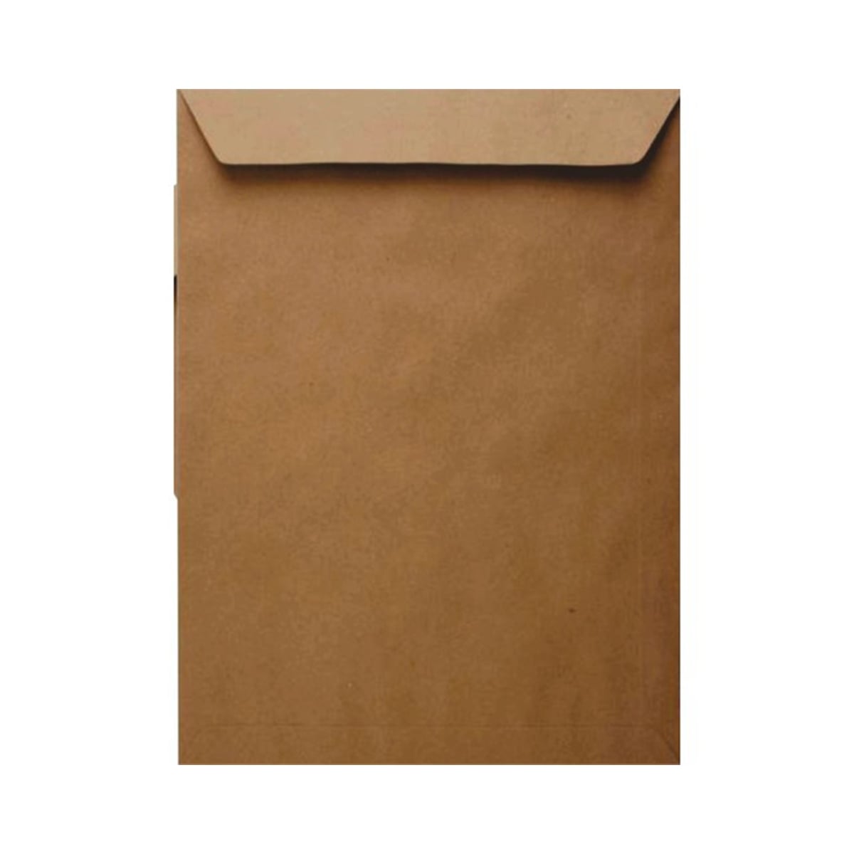 Oyal zarf torba kraft 125 gr 24x32 (çaycuma)