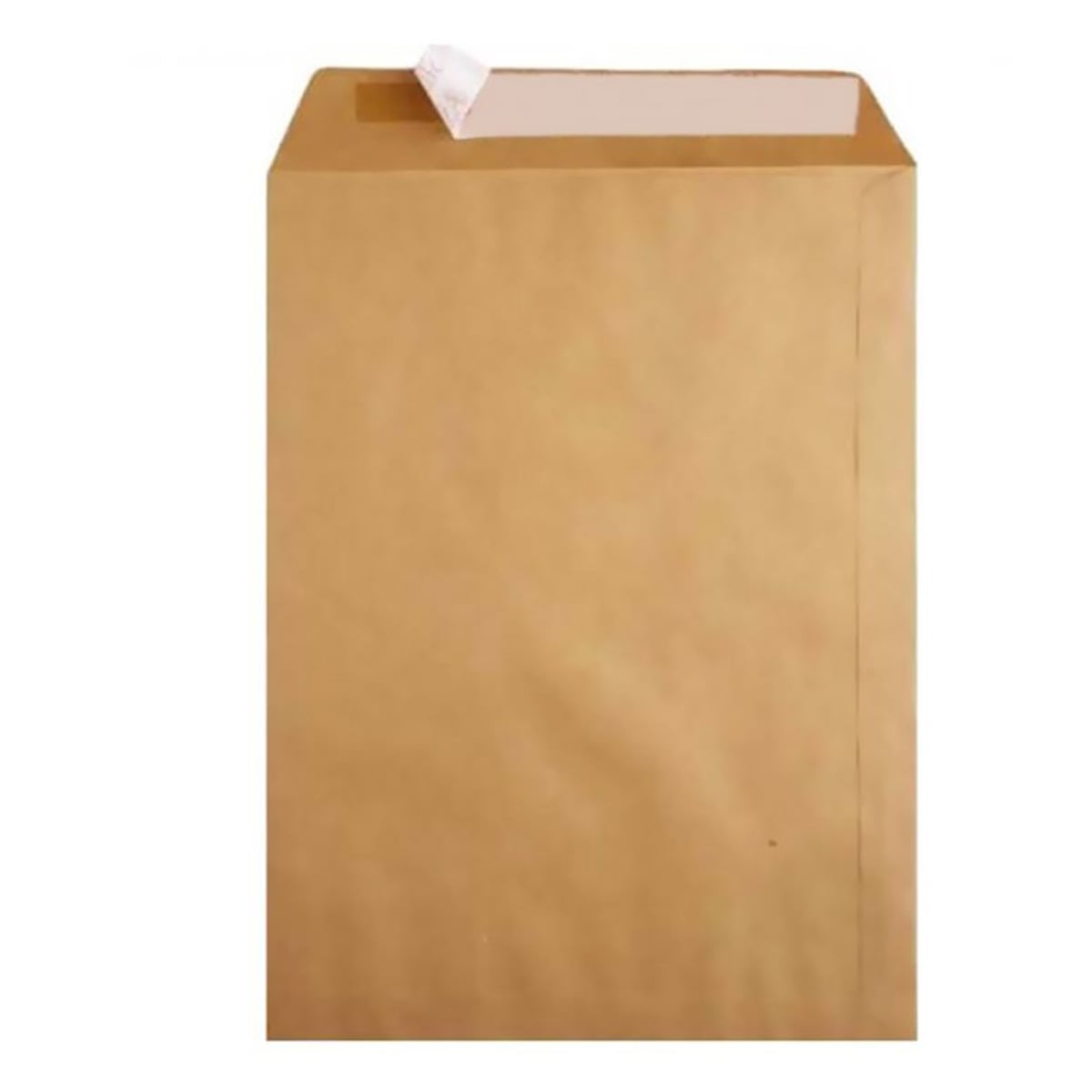 Oyal zarf torba formula 100 gr 37x45 (natura)