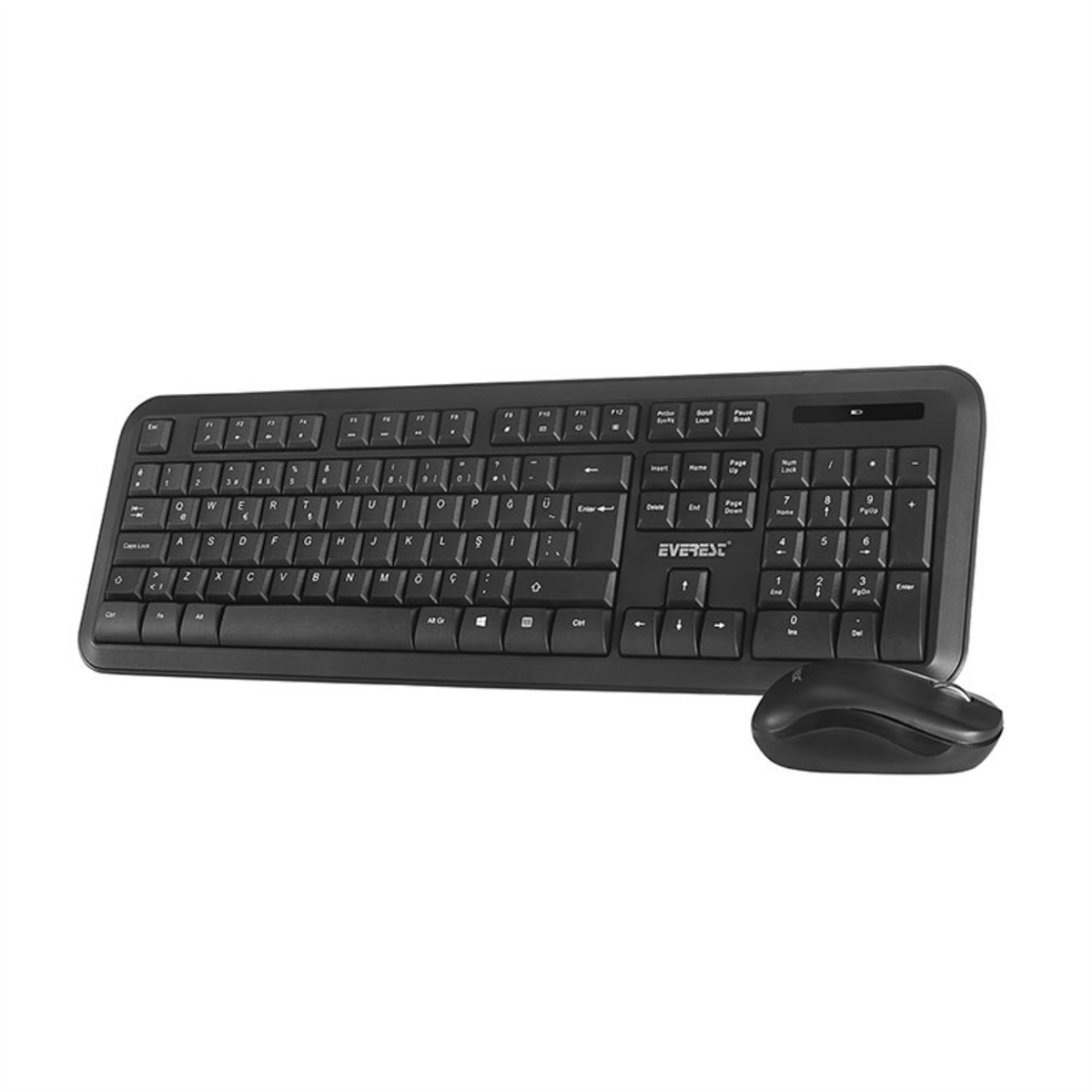 Everest Ergomy Kablosuz Q Klavye Mouse Set KM-8100