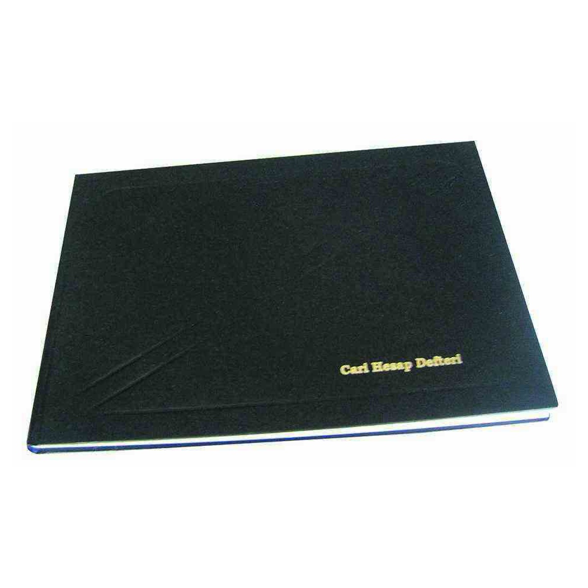 Dilman cari hesap defter17x24 320 yp. yan