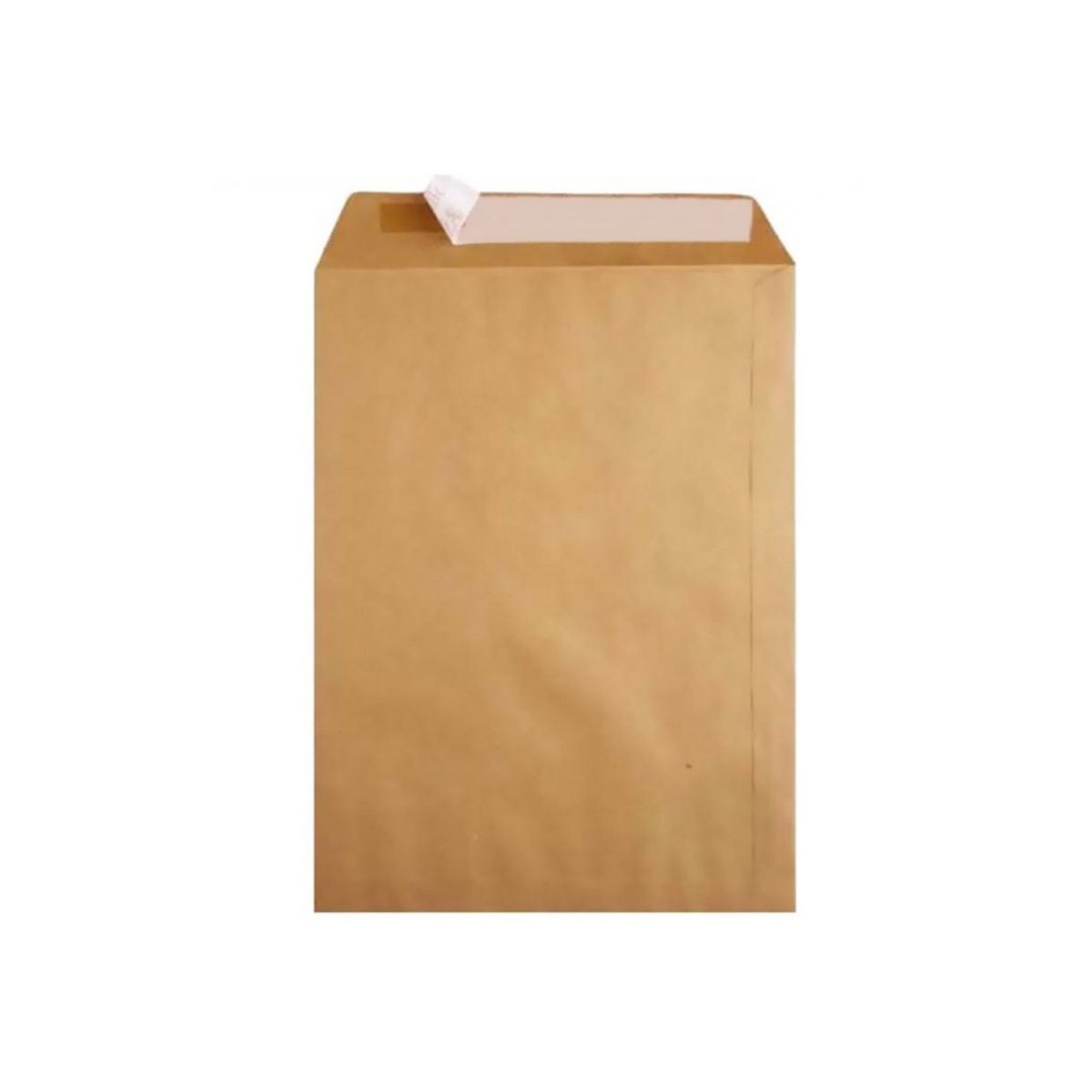 Oyal zarf torba formula 100 gr 17x25 (natura)